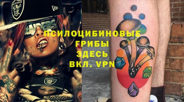 спайс Бородино