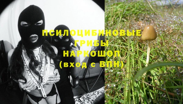спайс Бородино