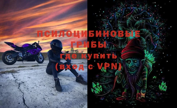 шишки Бугульма